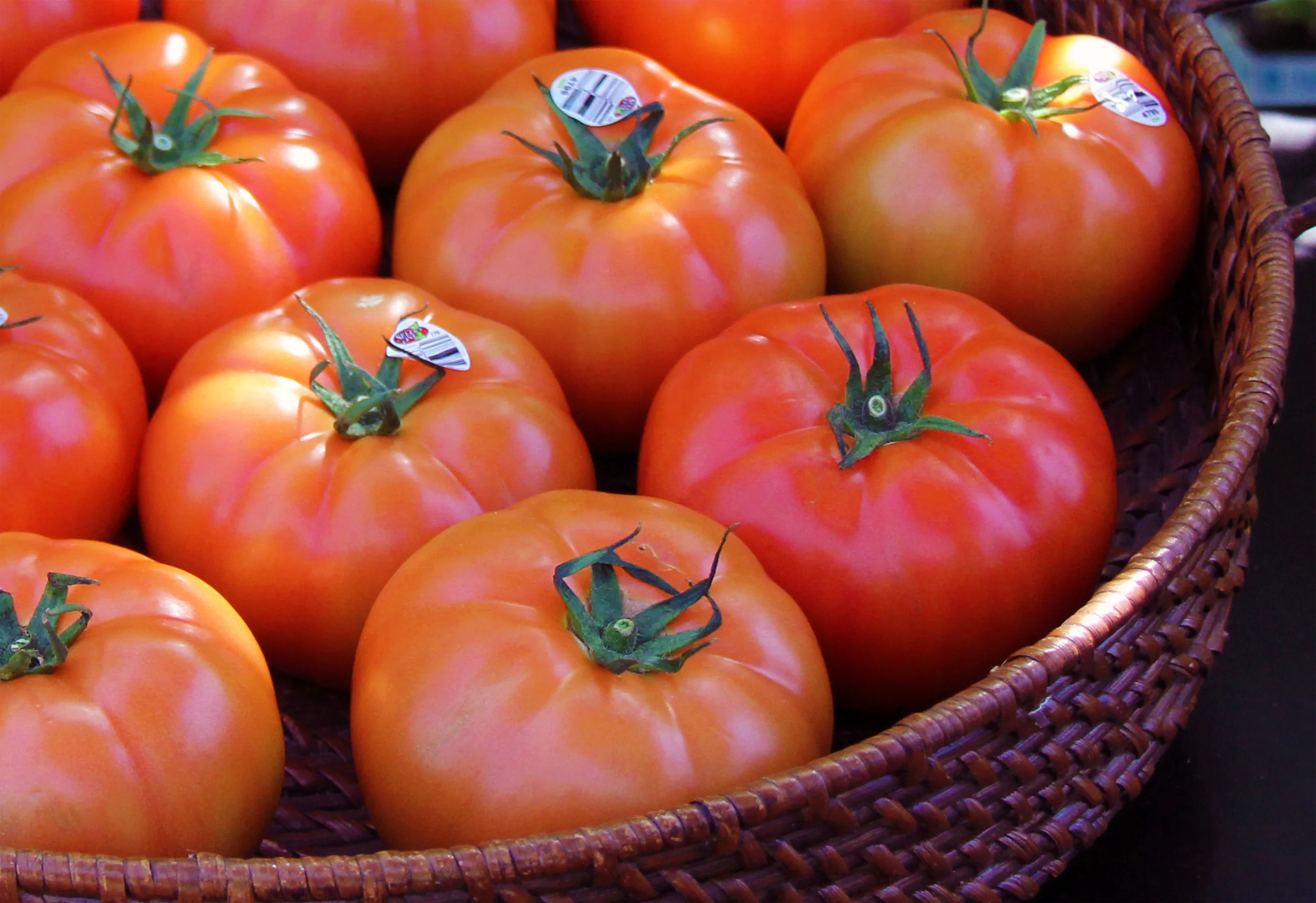 TOMATOES — AMCO Produce TOMATOES — AMCO Produce